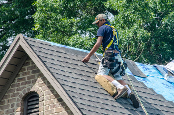 Best Local Roofing Companies  in Newport News, VA